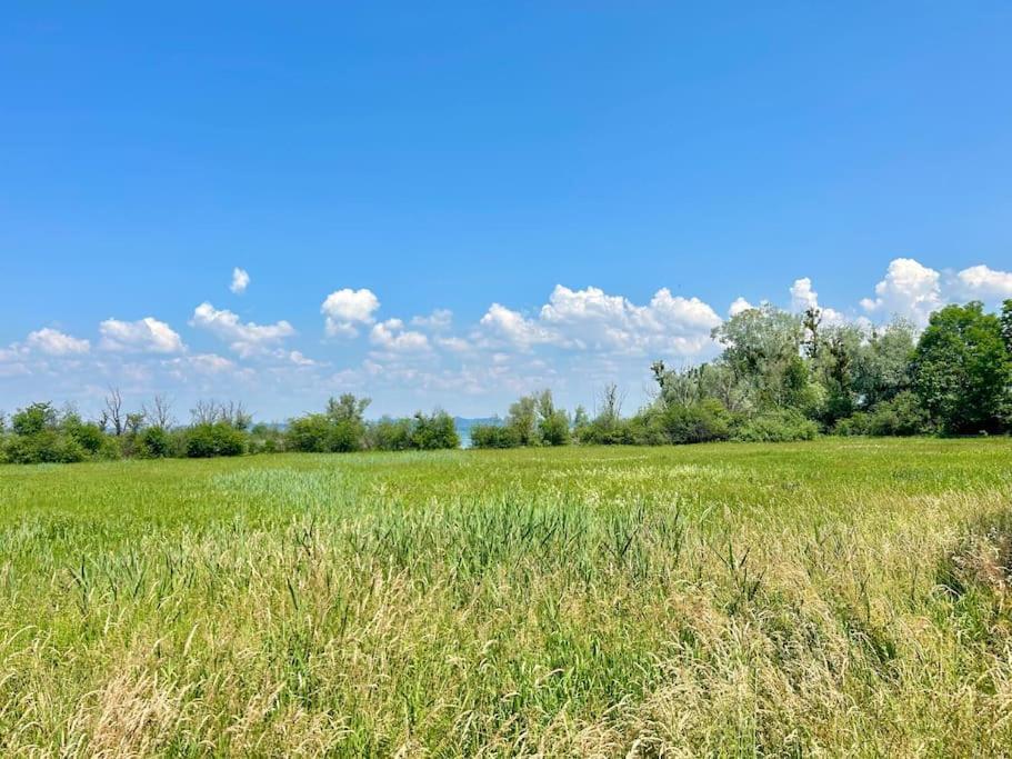 Seeparkvilla - Wohlfuehlen Am See Und Im Gruenen Bregenzi járás Kültér fotó